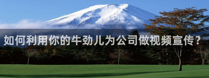 糖心olvg：如何利用你的牛劲儿为公司做视频宣传？