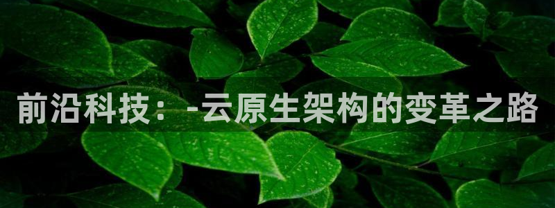 糖心在线：前沿科技：-云原生架构的变革之路