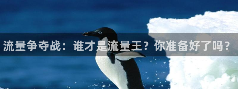 糖心vlgo桥本香菜观看：流量争夺战：谁才是流量王？你准备好